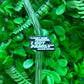 35 - Straw Charm